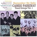 Remember Me Baby-Cameo Parkway Vocal Groups Vol 1