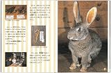 好奇心の部屋デロール (たくさんのふしぎ傑作集) 画像