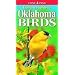 Compact Guide to Oklahoma Birds (Compact Guide to...)