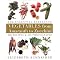 Top Vegetable and Fruit Cookbooks