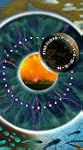 Pink Floyd  Pulse