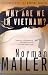 Why Are We in Vietnam?: A Novel