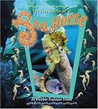 Sea Horse (Life Cycle of A...(Paperback))