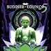 Buddha Lounge, Vol. 5