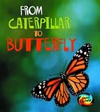 Cover of From Caterpillar to Butterfly  by Anita Ganeri 0431050724