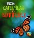 From Caterpillar to Butterfly  (Young Explorer: How Living Things Grow) (Young Explorer: How Living Things Grow)