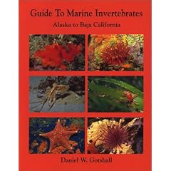 Guide to Marine Invertebrates: Alaska to Baja California