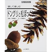 探して楽しむドングリと松ぼっくり (森の休日)
