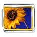 Jewelry : Yellow Sunflower Photo Italian Charm Bracelet