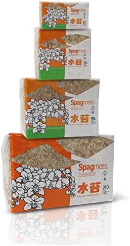 New Zealand Sphagnum Moss (500 grams) by besgrow