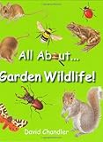 All about garden wildlife