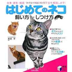 はじめてのネコ 飼い方・しつけ方―食事・運動・睡眠・トイレ…あらゆる不安を解消します! (実用BEST BOOKS)