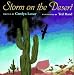 Storm on the Desert