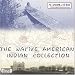 The Native American Indian Collection Cd (3-cd Set)