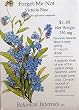 Forget-Me-Not Blue Seeds 200 Seeds