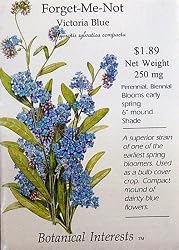 Forget-Me-Not Blue Seeds 200 Seeds