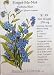 Forget-Me-Not Blue Seeds 200 Seeds