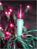 Review Everstar  / Set of 35 Purple Mini Christmas Lights With Green Wire #ES60-330