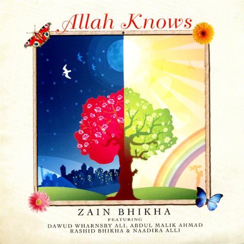 Original album cover of Allah Knows by Zain Bhika