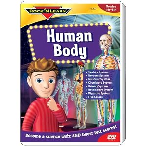 Human Body by 