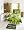 Zap Ben 10 Duvet Set, Single