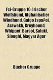 Fci-Gruppe 10: Irischer Wolfshund, Afghanischer Windhund, Galgo Espanol, Azawakh, Greyhound, Whippet, Barsoi, Saluki, Sloughi, Magyar