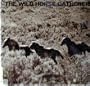 The wild horse gatherers