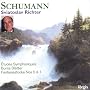 Etudes Symphoniques