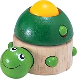 マジックタートル  MAGIC TORTOISE の評価・レビュー