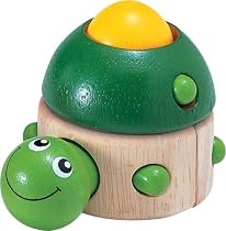 マジックタートル  MAGIC TORTOISE