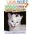 Stuff on My Cat: The Book