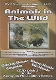 DVD Animals in the Wild - Part 1 - DVD Disk 2 of the Appropos Relaxation Series code image
