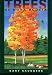 Book Trees of Nova Scotia: A Guide to the Native and Exotic Species
