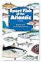 Sport Fish of the Atlantic
