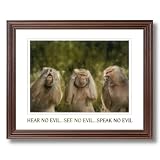 Monkey See Monkey Do Kids Room Animal Wildlife Home Decor Wall Picture Cherry Framed Art Print