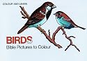 Bible Birds (Colour & Learn)