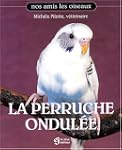 La perruche ondul�e
