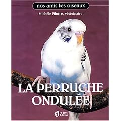 La Perruche ondul�e
