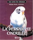 La Perruche ondul�e