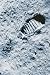 Art Poster, The First Step on the Moon - 18.75 x 27.5