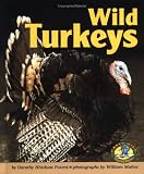 Wild Turkeys (Early Bird Nature Books)
