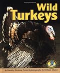 Wild Turkeys (Early Bird Nature Books)