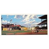 Good Sports Art Brooklyn Dodgers Duke of Flatbush Lithograph