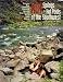 Book Hot Springs and Hot Pools of the Southwest: Jayson Loam's Original Guide