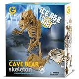 Dinosaur Dig -Ice Age Cave Bear Skeleton