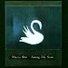 Among My Swan (180 Gram Vinyl)
