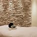 Produkt-Bild: Hot Stone-Massage