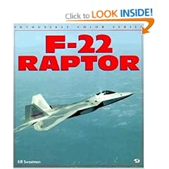F-22 Raptor (Enthusiast Color)