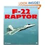 F-22 Raptor (Enthusiast Color Series)