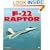 F-22 Raptor (Enthusiast Color Series)